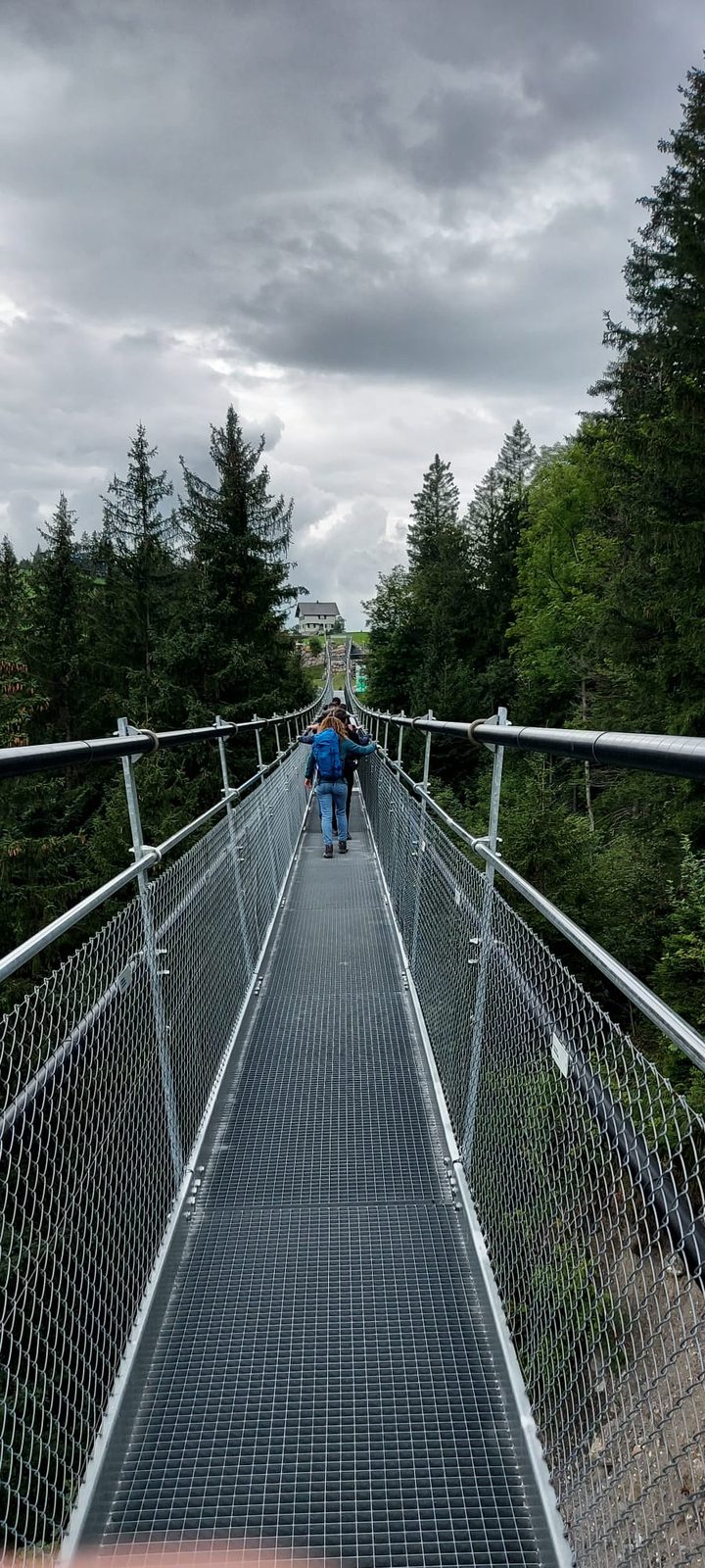 Hängebrücke am Hochstuckli 2021