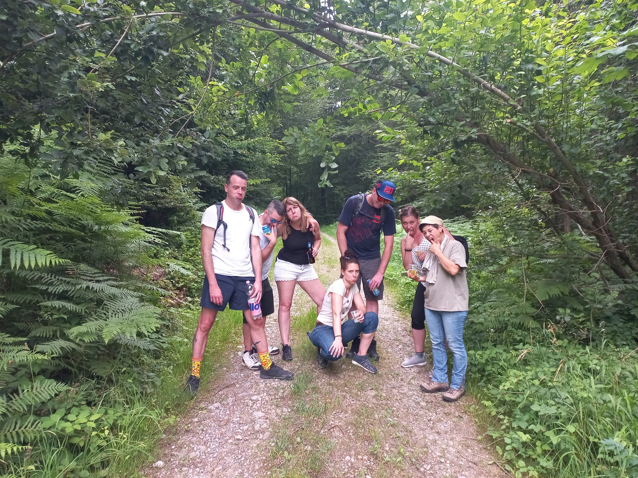 Wanderung Waldweg